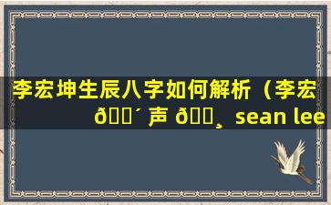 李宏坤生辰八字如何解析（李宏 🐴 声 🕸  sean lee）